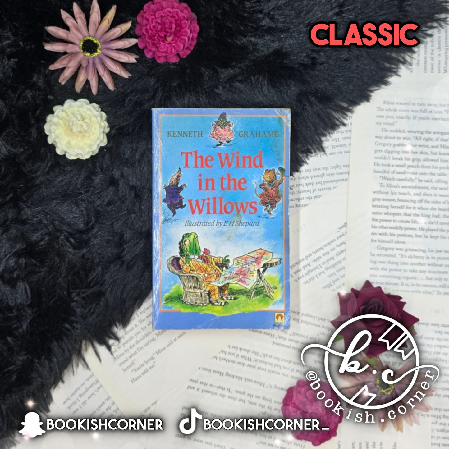 The Wind in the Willows By Kenneth Grahame