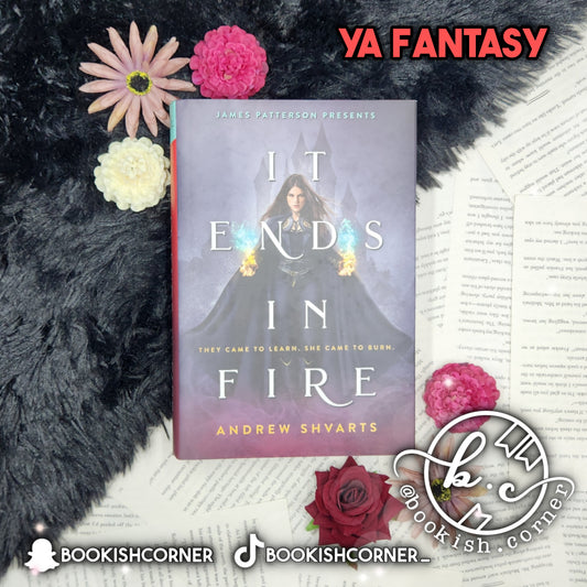 It Ends in Fire By Andrew Shvarts