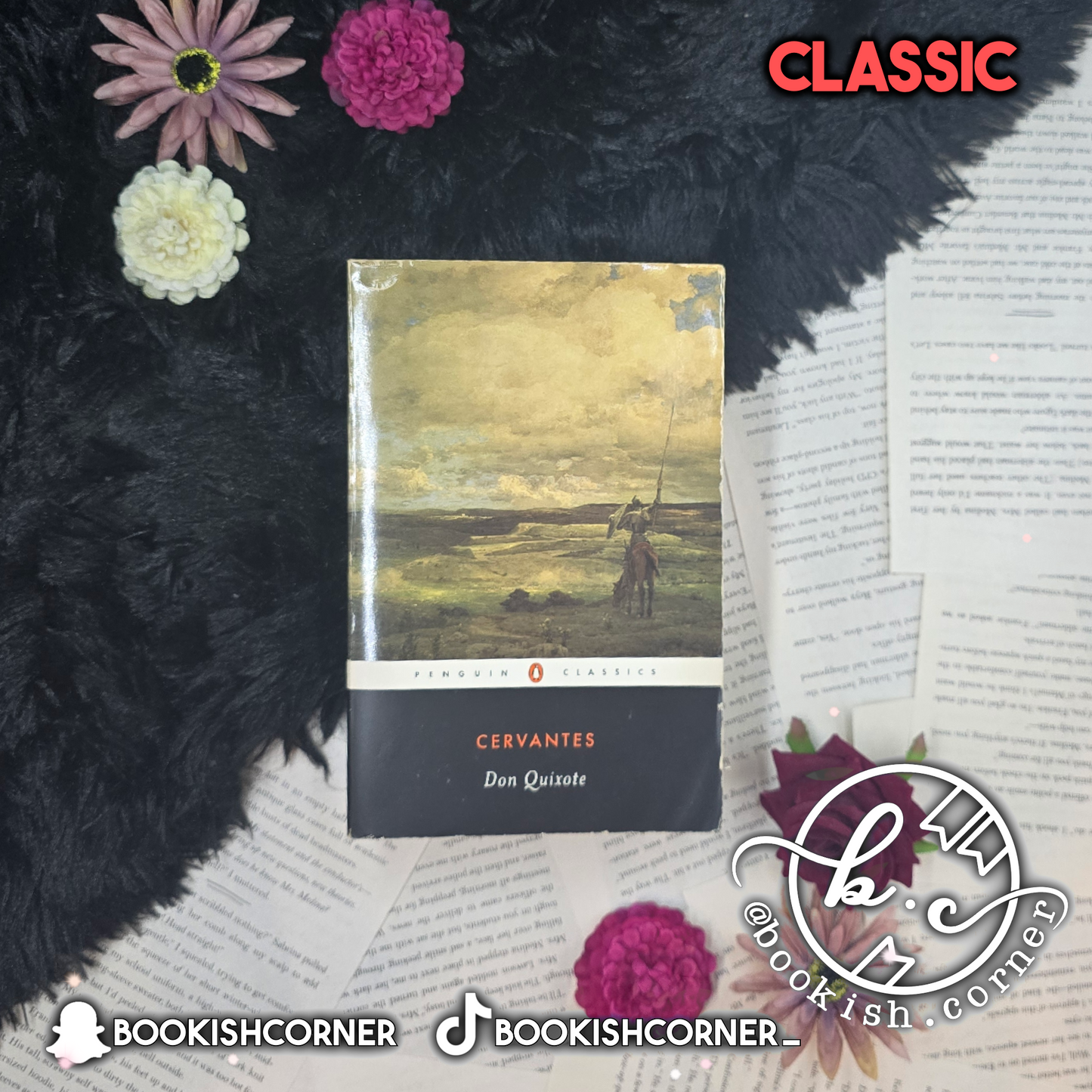 Don Quixote By Miguel de Cervantes