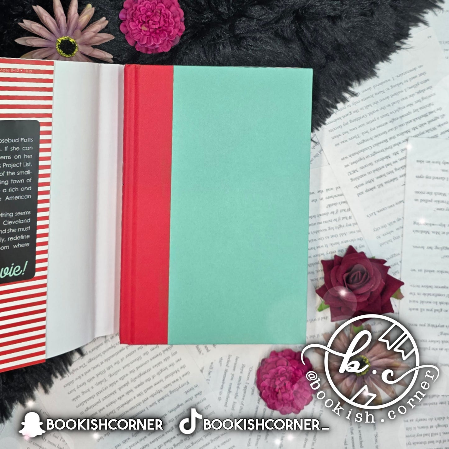 The Paris Project By Donna Gephart