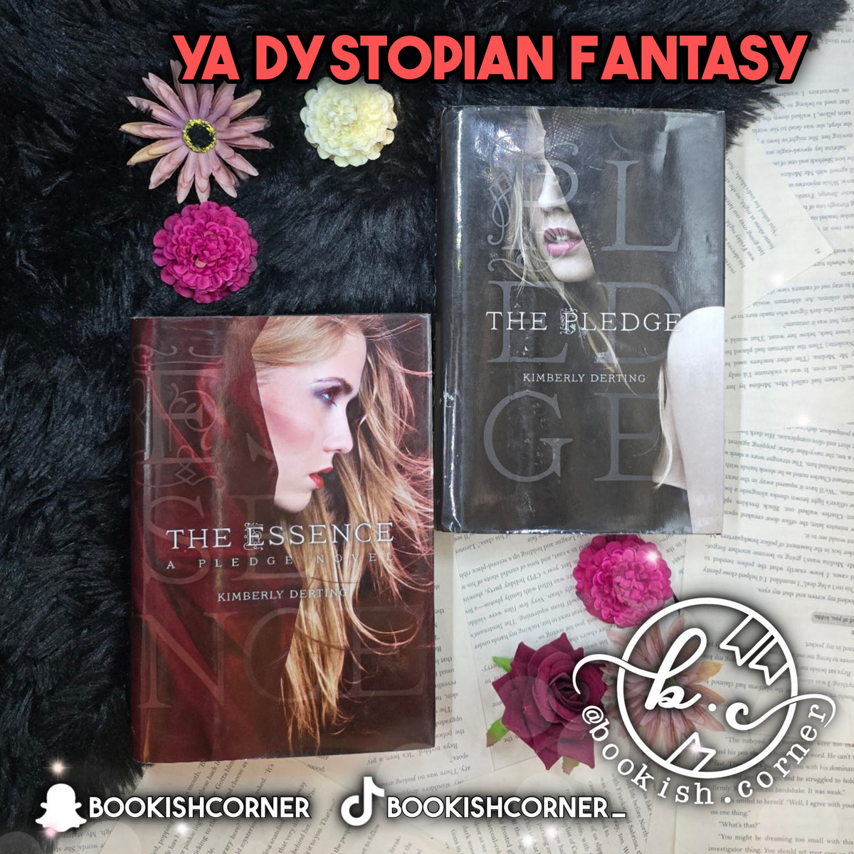 The Pledge (set) By Kimberly Derting