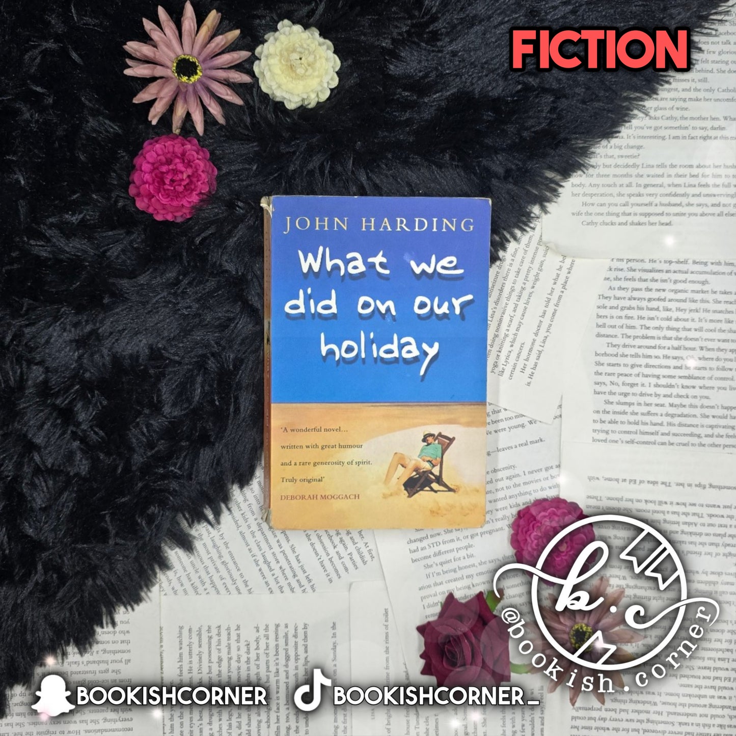 What We Did On Our Holiday By John Harding