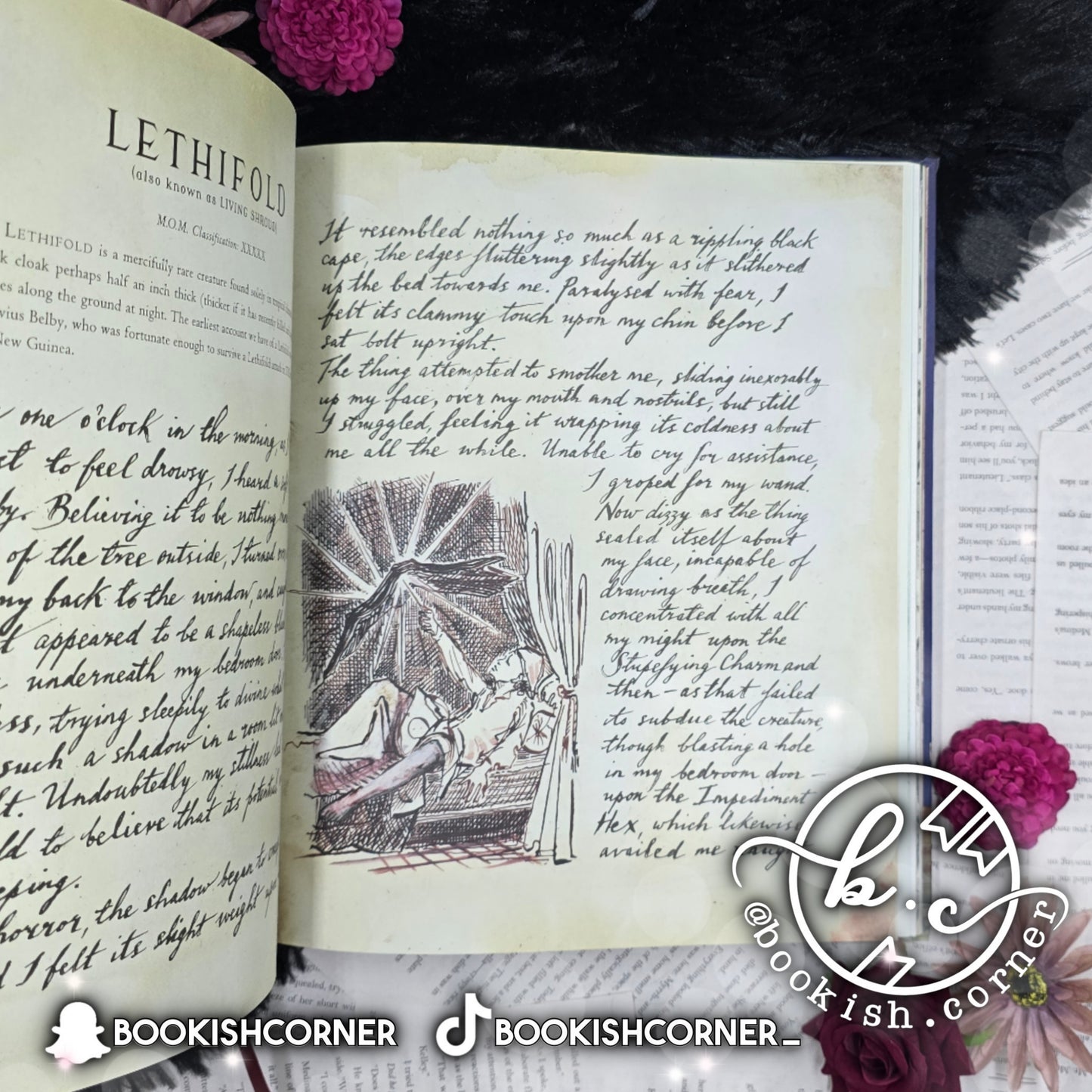 Fantastic Beasts and Where to Find Them - Illustrated Version By J K Rowling