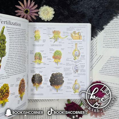 Ultimate Visual Dictionary By Dk